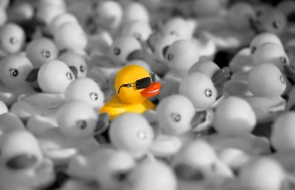A single yellow rubber duck wearing black sunglasses stands out among a sea of identical white rubber ducks. The image is…