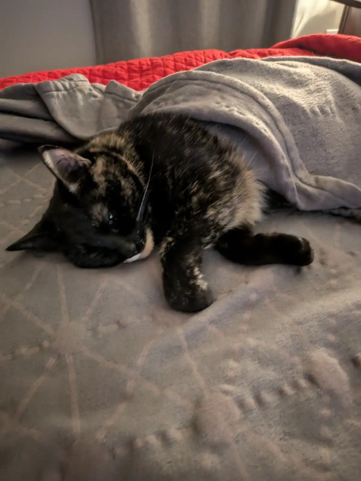 The Curious Case of the Tucked-in Smudge