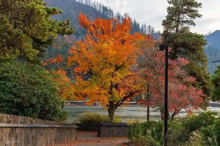 The Beauty of Autumn