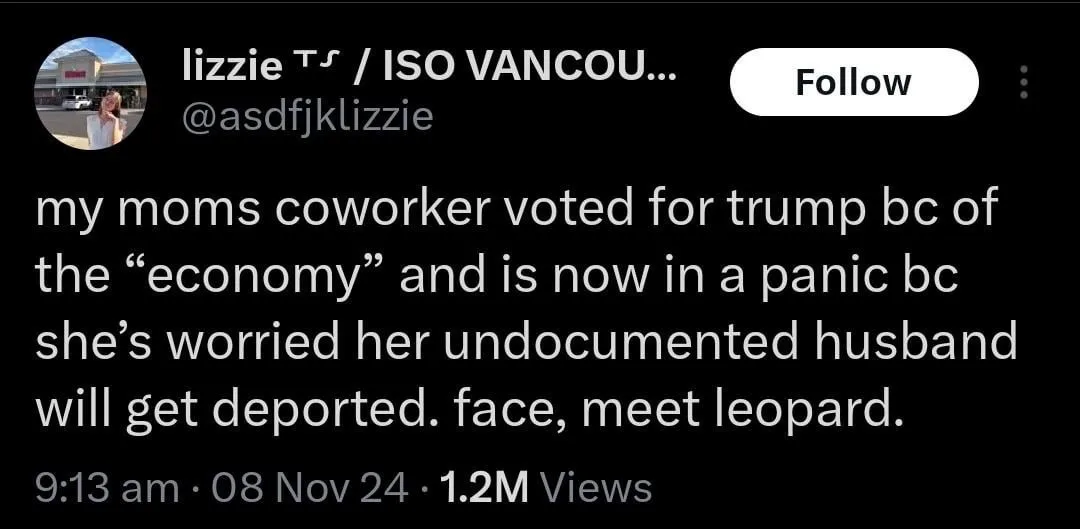 A screenshot of a social media post by user 'lizzie' showing a text overlay that reads: 'my moms coworker voted for trump bc…