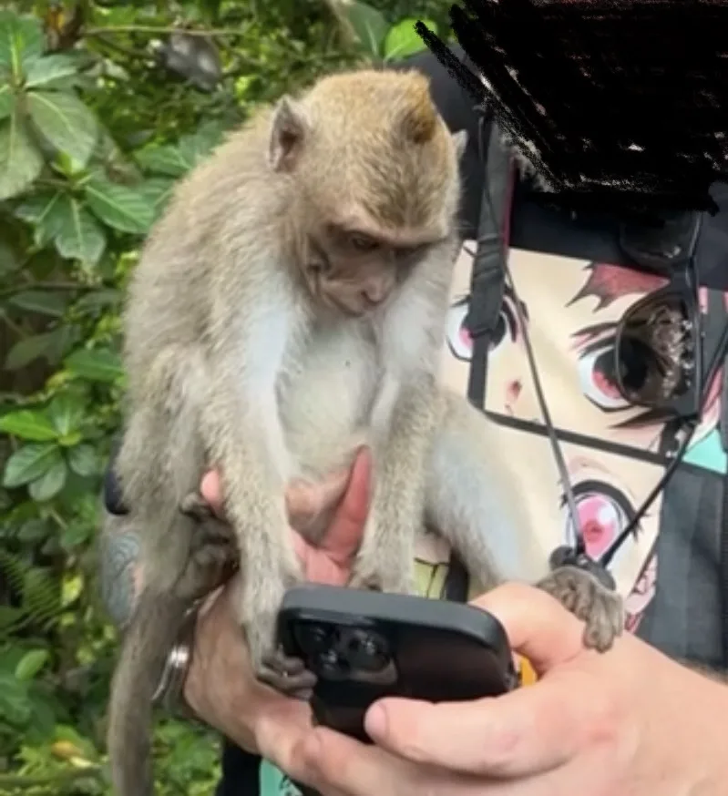 A small monkey sits on a person's hands while looking intently at a smartphone they are holding. The person's face is…