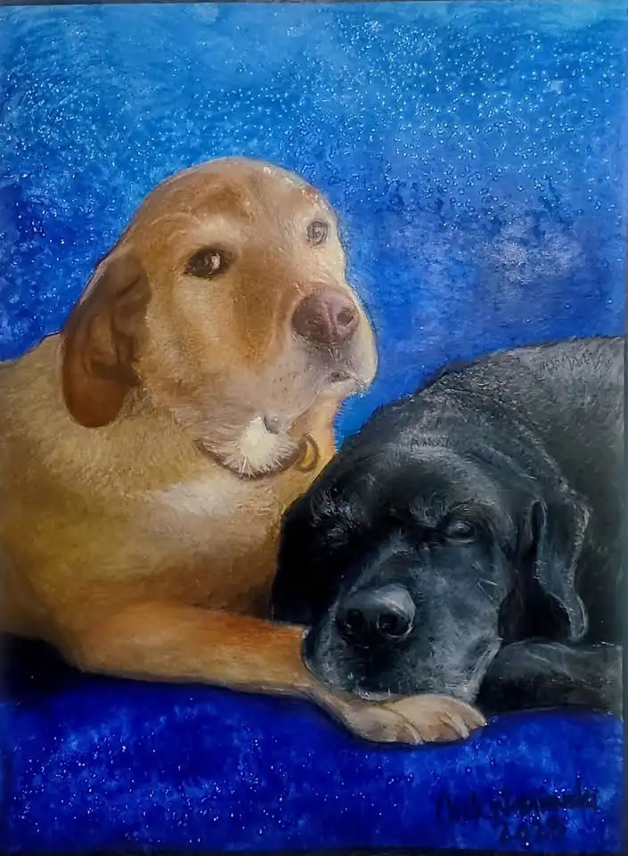 Adorable Dogs Stealing Hearts Everywhere