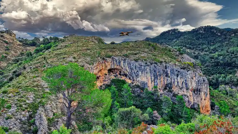A dramatic landscape photo shows a bird of prey soaring over rugged, green-covered mountains under a cloudy sky. The image…