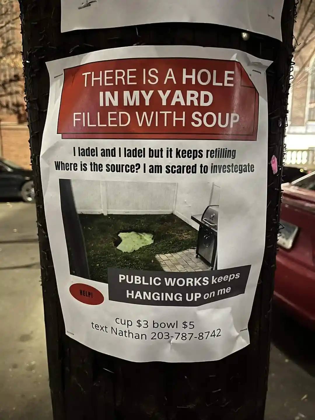 A Call for Help: Seeking Assistance