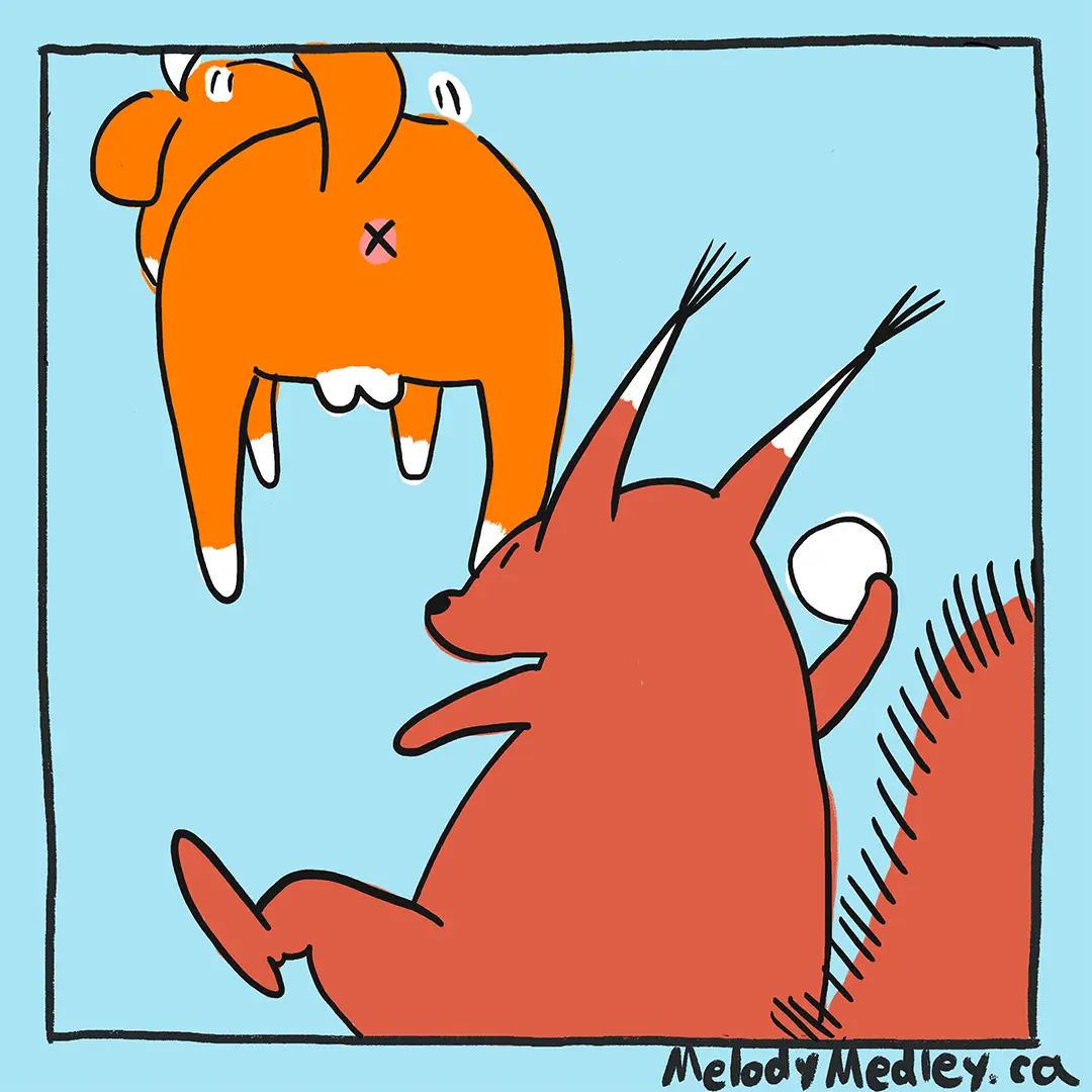 A cartoon illustration shows a red fox sitting on the ground, looking up at an orange fox hanging upside down in the air…