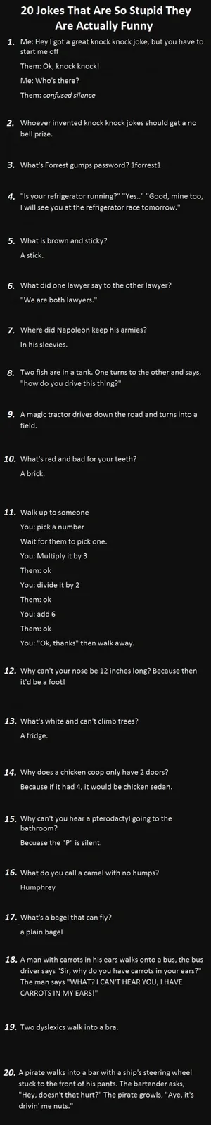 A black background lists 20 numbered jokes, including knock-knock jokes, puns, and absurd riddles like 'What's Forrest…