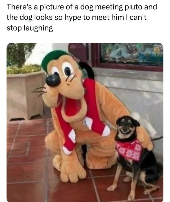 A small black and tan dog wearing a red bandana sits next to a person in a Pluto costume, who is crouching and smiling…