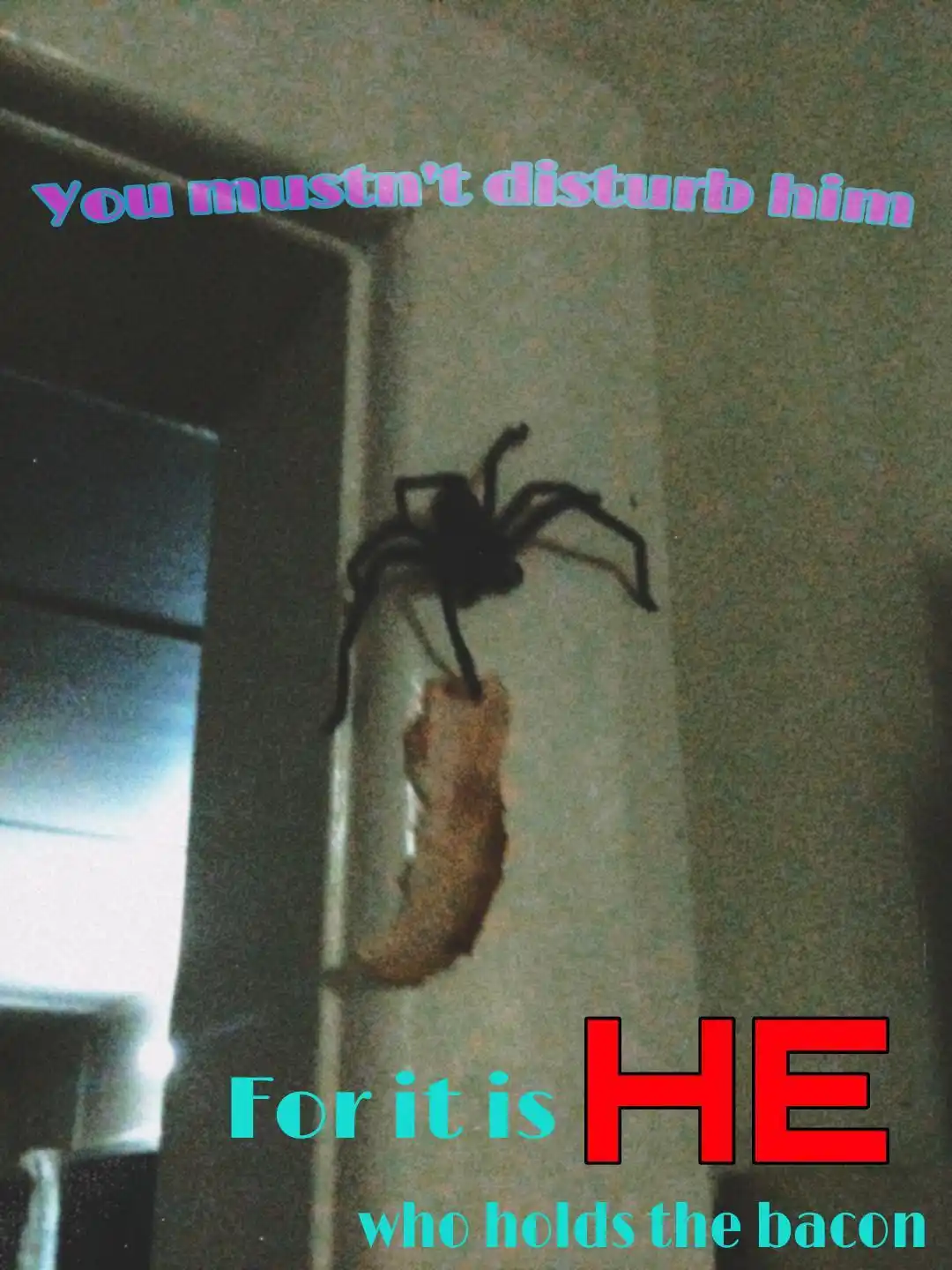 A dark, grainy photo shows a large spider perched on a wall near a doorway, holding a piece of bacon in its legs. Overlaid…