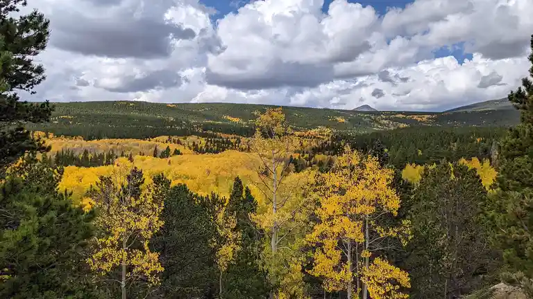 Autumn's Vibrant Palette in Colorado's High Country