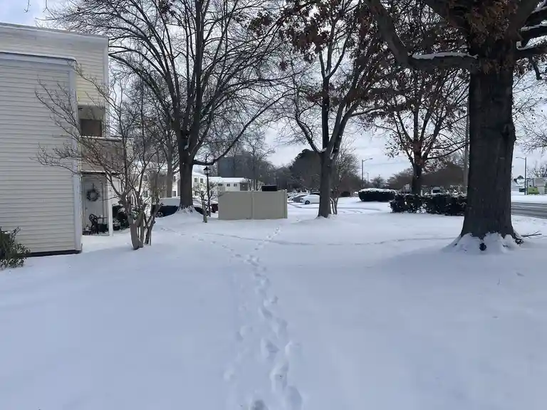 A snowy residential yard with footprints leading from the foreground toward a house on the left, surrounded by bare trees…