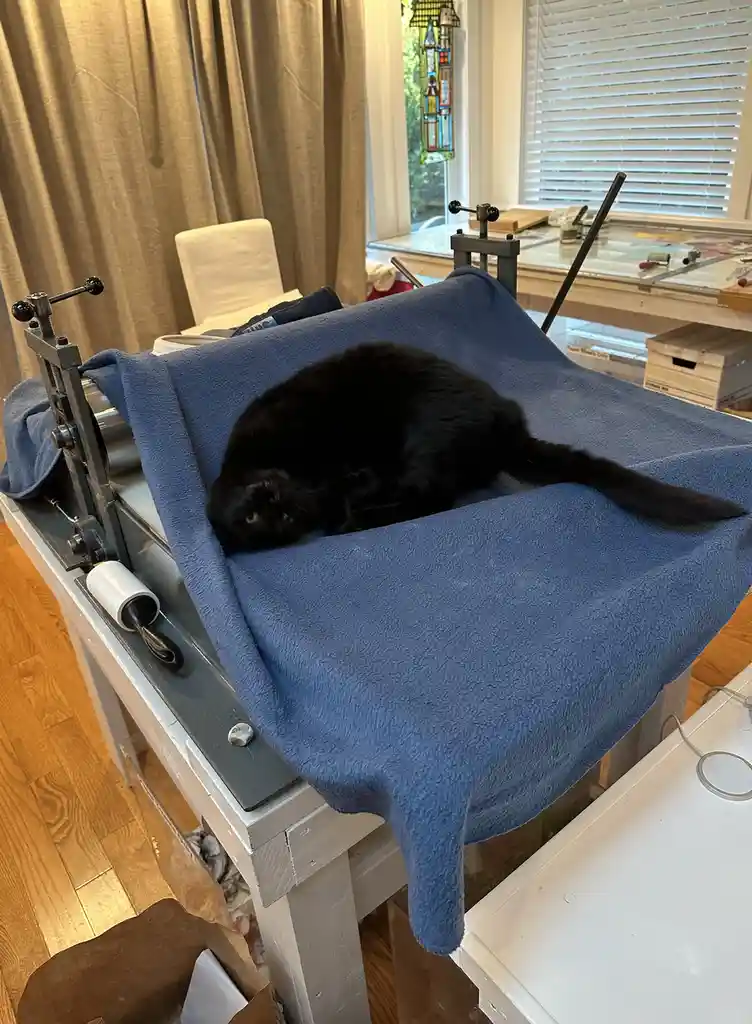A black cat is curled up and sleeping on a blue fleece blanket draped over a large, industrial-looking printing press or…