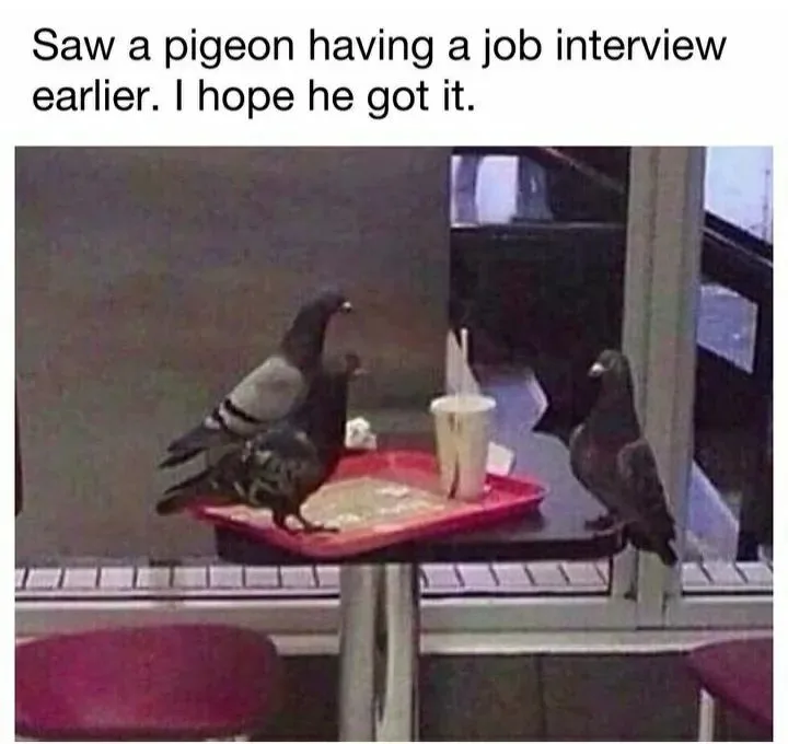 Two pigeons are perched on a red fast-food tray with a drink cup and straw, positioned on a table inside what appears to be…