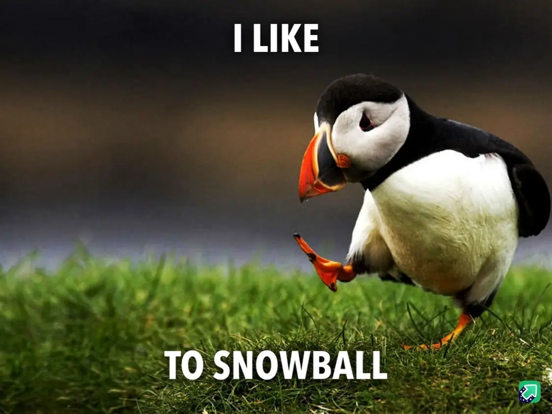 A close-up photo of a puffin standing on green grass, looking down with one foot lifted as if in mid-step. White bold text…