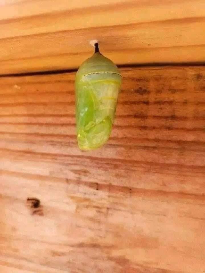 The Stunning Beauty of Nature Unveiled