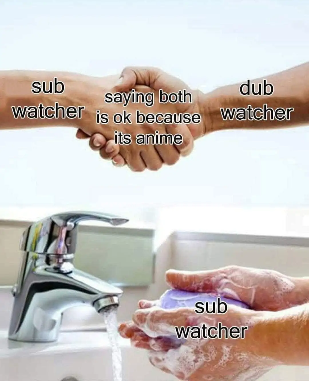 Two hands shake above a sink, labeled 'sub watcher' and 'dub watcher', with text saying 'saying both is ok because its…