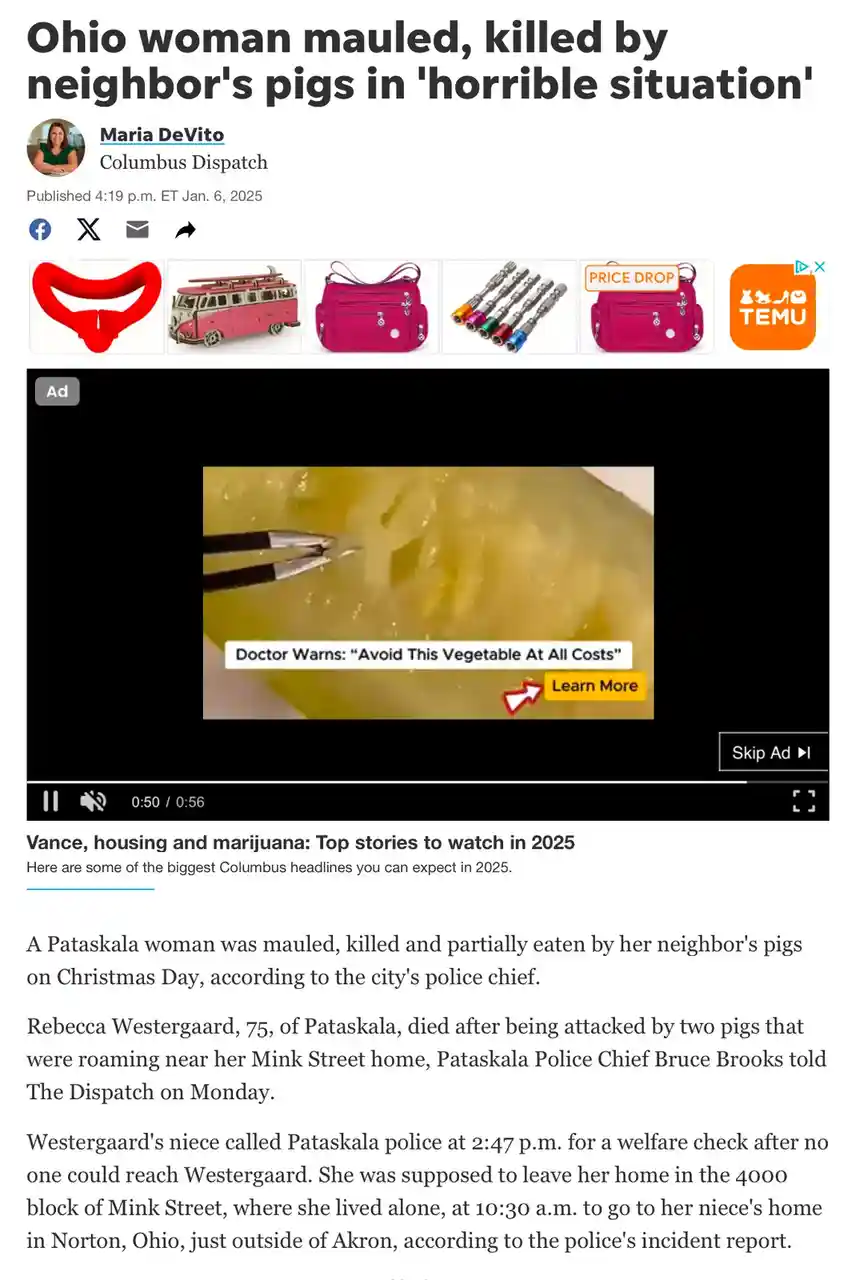 A screenshot of a news article about a woman killed by pigs is overlaid with a video ad showing tweezers pulling something…