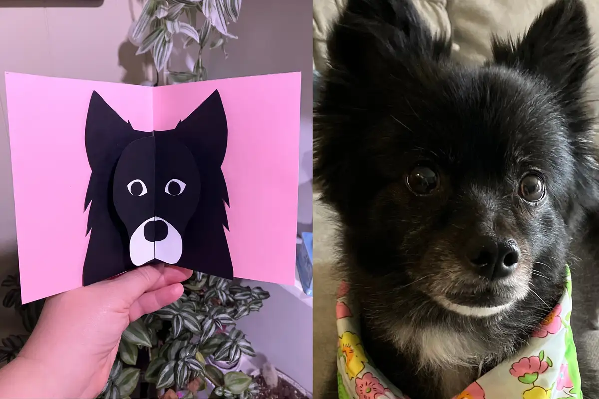 The image is a side-by-side comparison: on the left, a hand holds an open pink card with a simple black paper cutout of a…