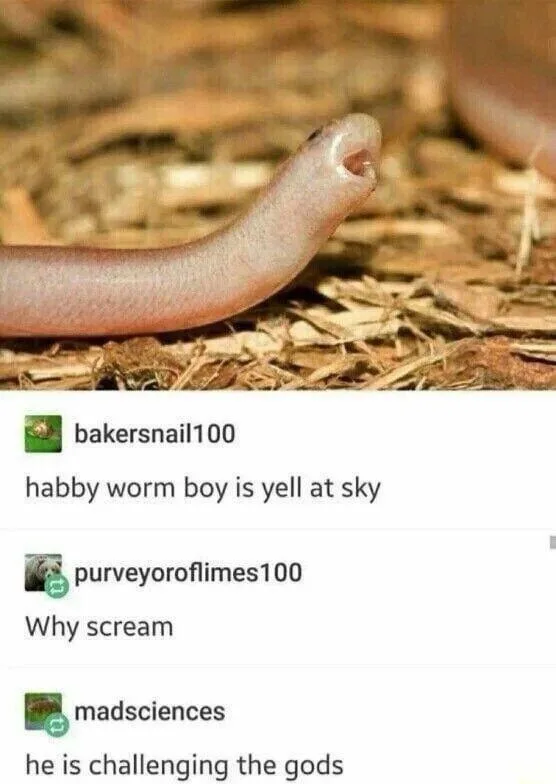 A close-up photo of a pale, worm-like creature with a small, open mouth, lying on dry, brown mulch. Overlaid text mimics a…