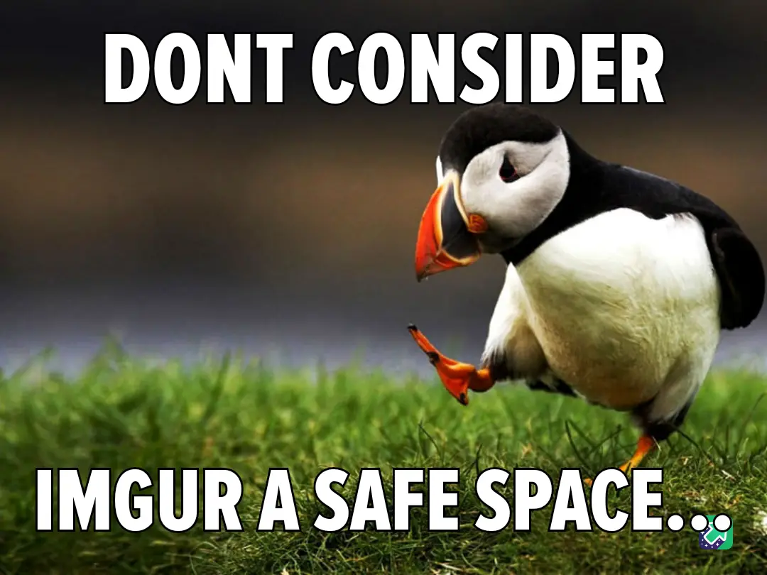 A puffin stands on green grass with a blurred background, looking sideways with one foot lifted. White bold text at the top…