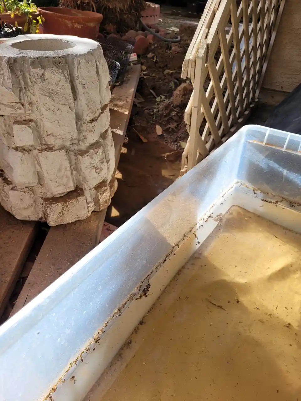 A dirty, muddy plastic tub sits outdoors next to a stone planter and a wooden lattice, with muddy water and debris inside…