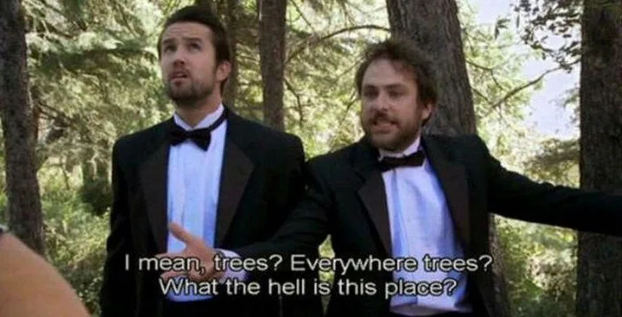 The Gang's Unexpected Adventure in the Woods
