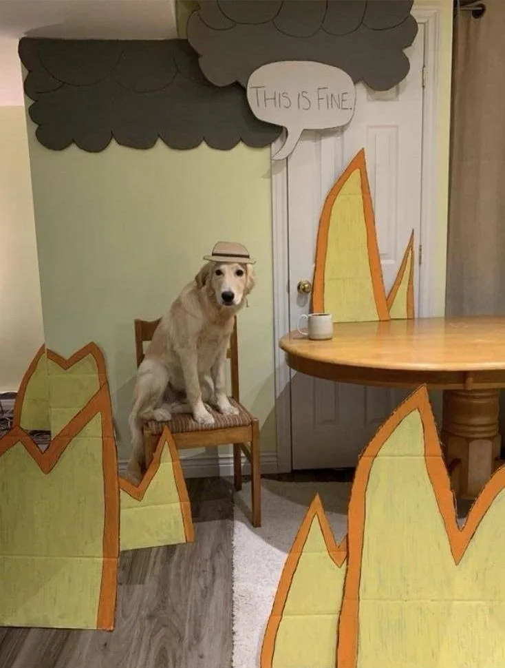 A golden retriever wearing a small hat sits calmly on a wooden chair in a room decorated with cardboard cutouts of flames…