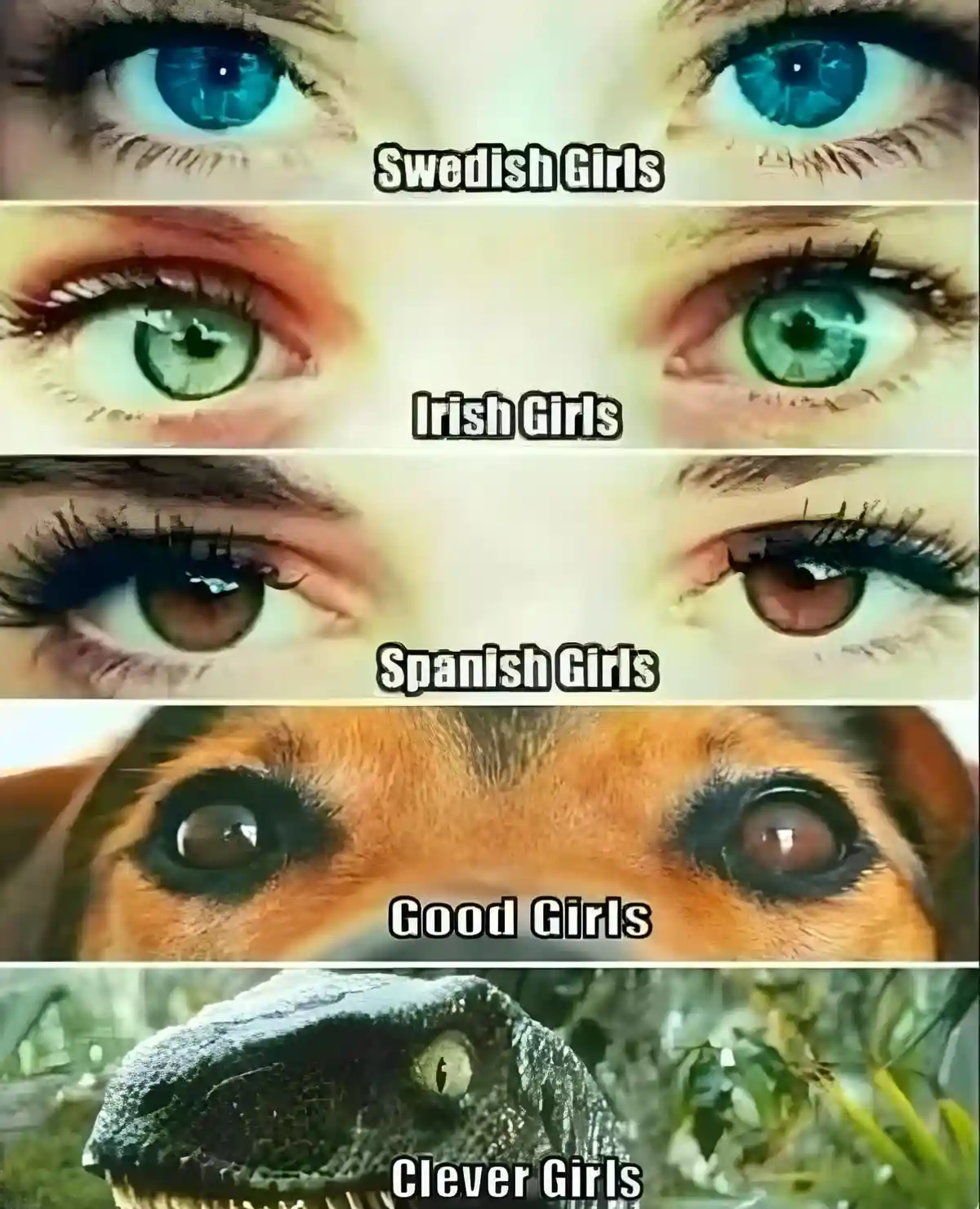 The image is a five-panel meme showing close-ups of eyes, each labeled with a nationality or trait. The top panel shows blue…