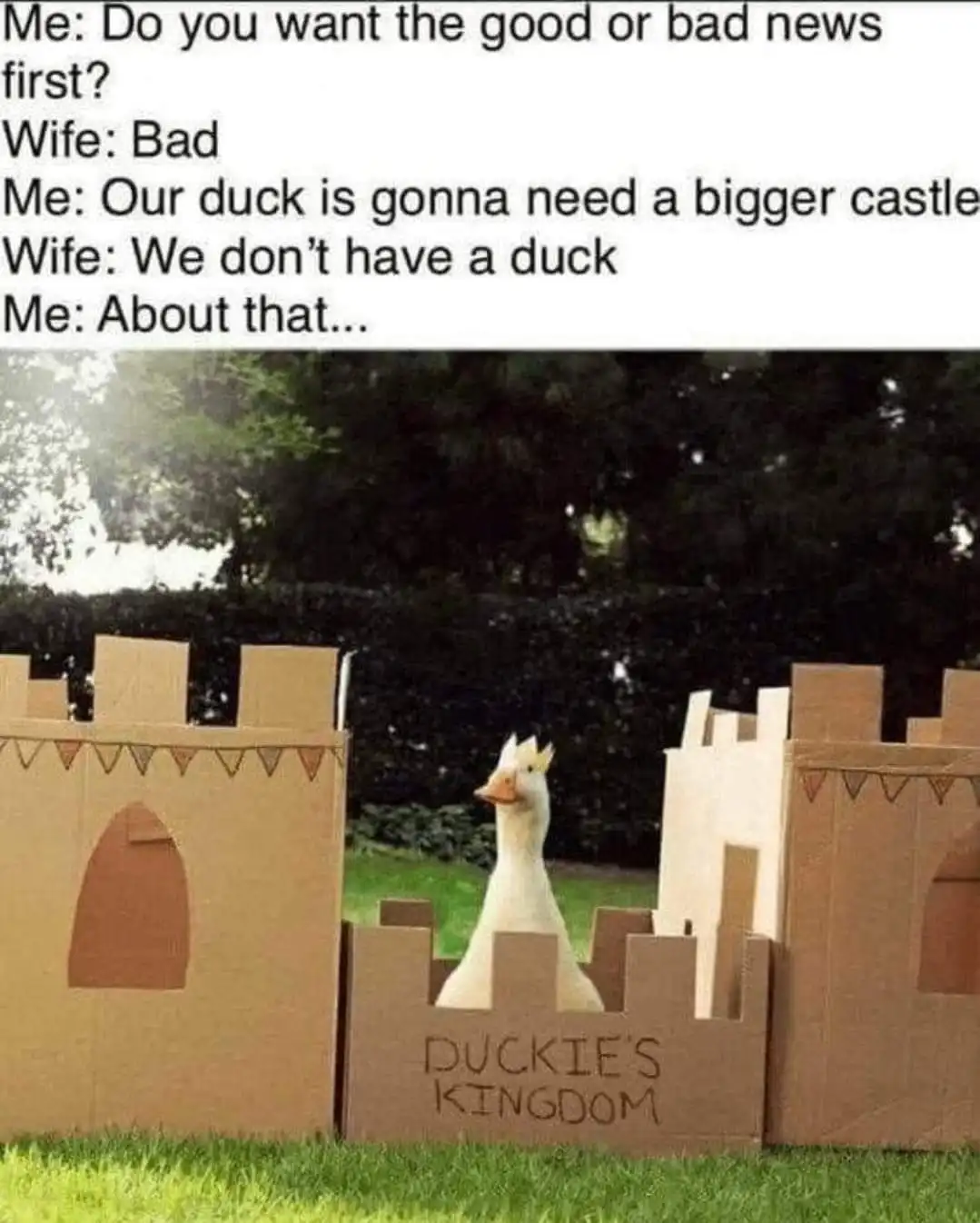 A white duck wearing a small cardboard crown stands in a cardboard castle labeled 'DUCKIE'S KINGDOM' on a grassy lawn. The…
