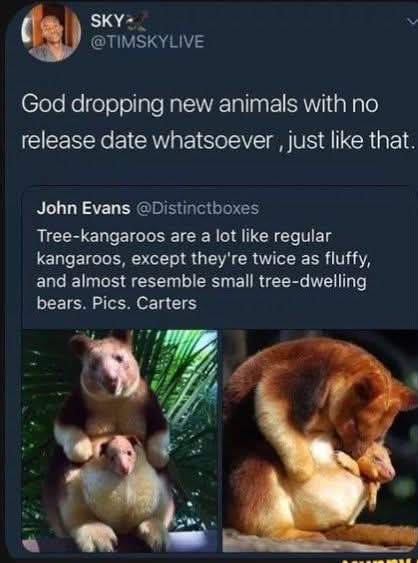A screenshot of a Twitter thread where user SKY jokes that God is dropping new animals without release dates, referencing…