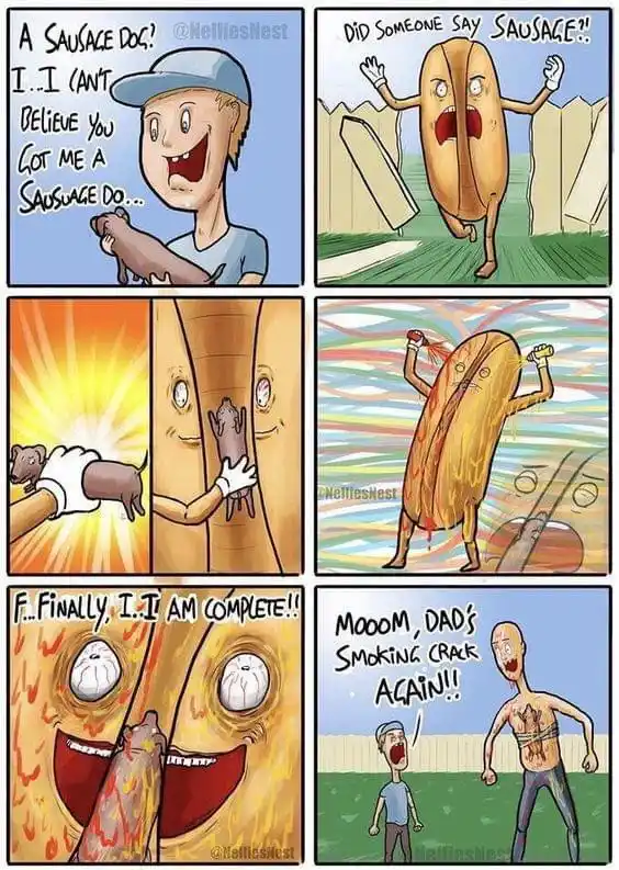 A six-panel comic strip shows a boy excitedly holding a small dog he calls a 'sausage dog.' The dog, now revealed to be a…