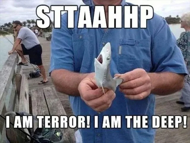 A man in a blue shirt holds a tiny, toy-like shark with its mouth open on a wooden pier. The text overlaid in bold white…
