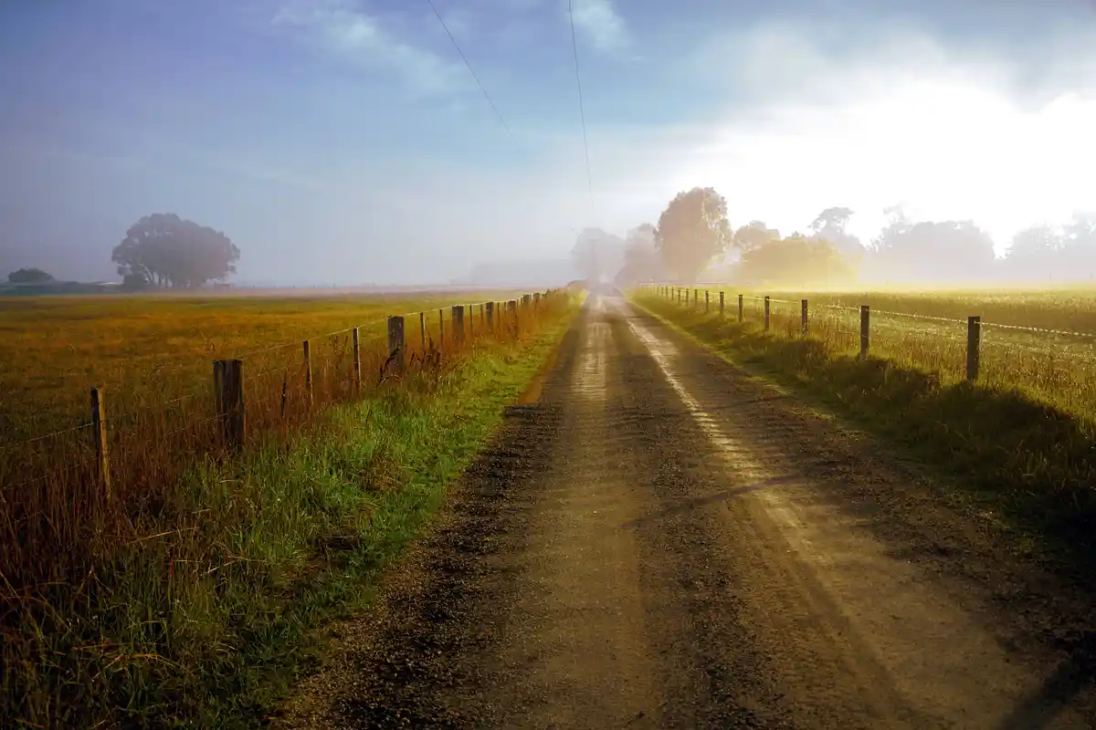 A serene rural scene shows a dirt road stretching into the distance through misty fields, flanked by wooden fence posts and…