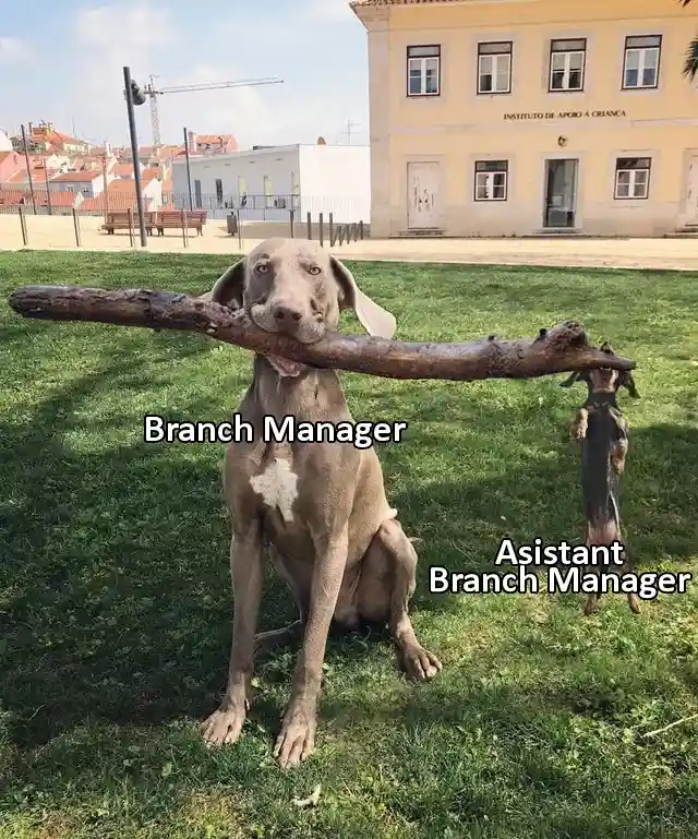 The three types of good boys leading the way in management
