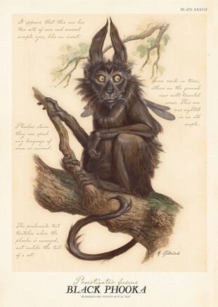 An antique-style illustration depicts a dark-furred, horned, cat-like creature with multiple eyes and a long tail, perched…