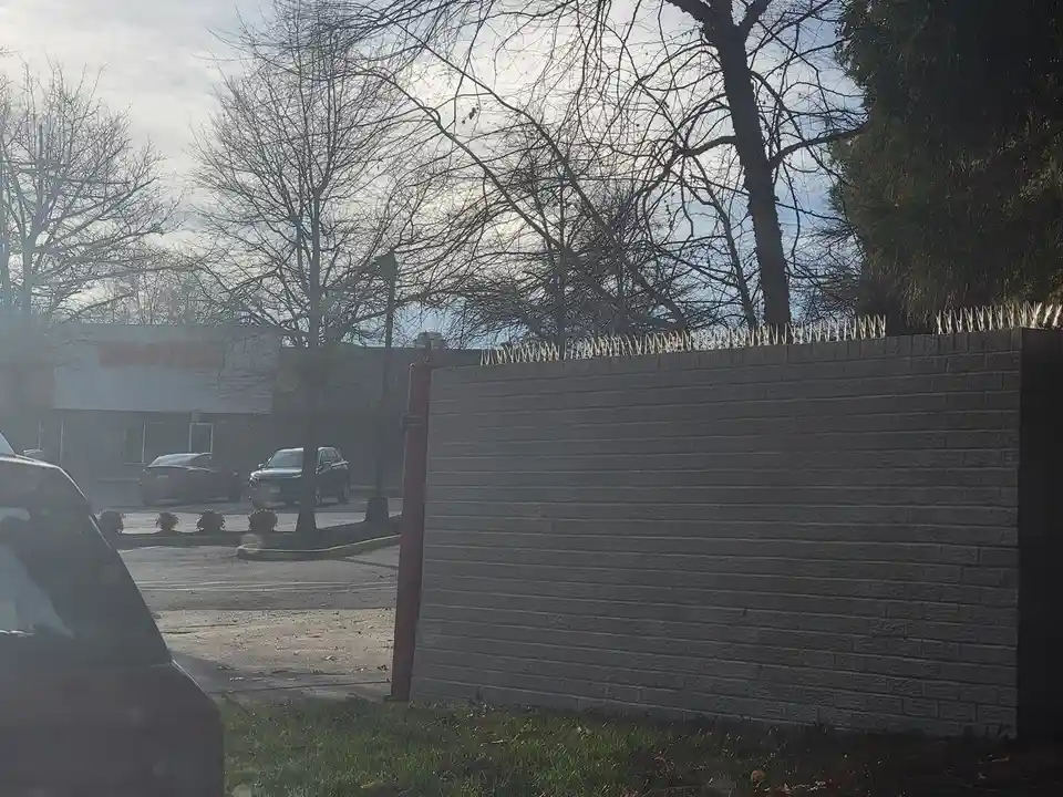 Innovative Anti-Bird Architecture: A Fowl Play