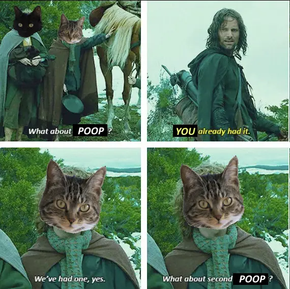 A four-panel meme using scenes from 'The Lord of the Rings' with cat heads superimposed on characters. The first panel shows…