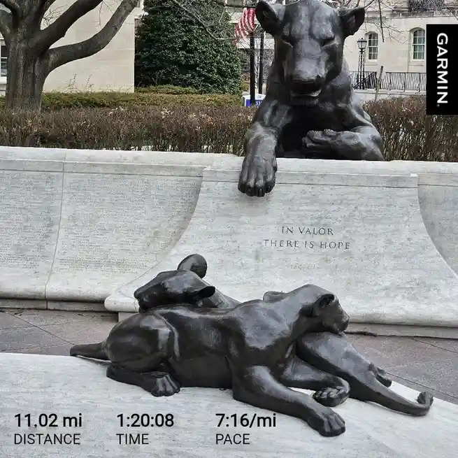 The Daily Jog: A Routine Like No Other