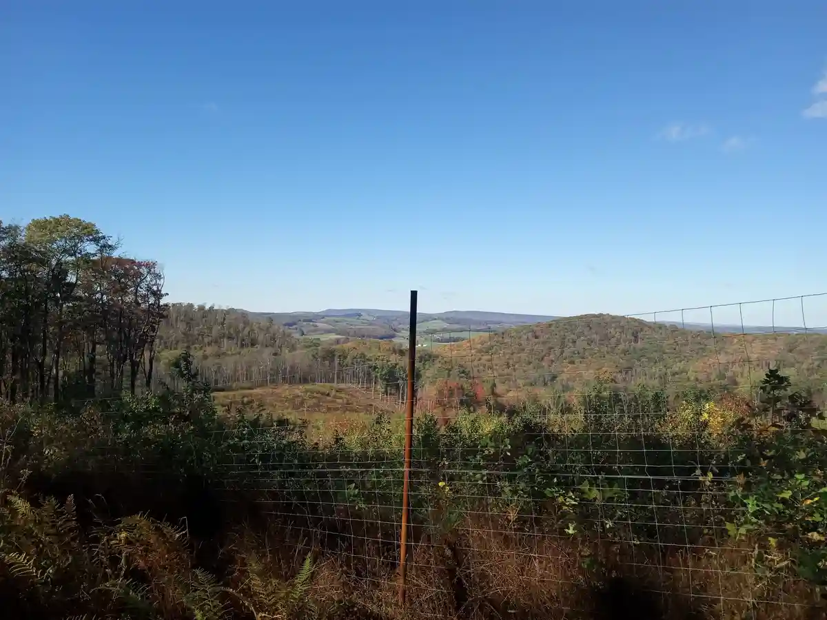 A scenic autumn landscape with rolling hills covered in colorful foliage under a clear blue sky, viewed through a wire fence…