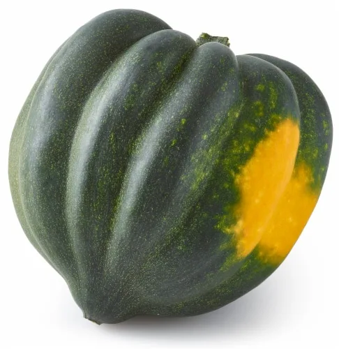 A close-up studio photo of a dark green acorn squash with prominent ridges and a patch of orange-yellow near its stem, set…