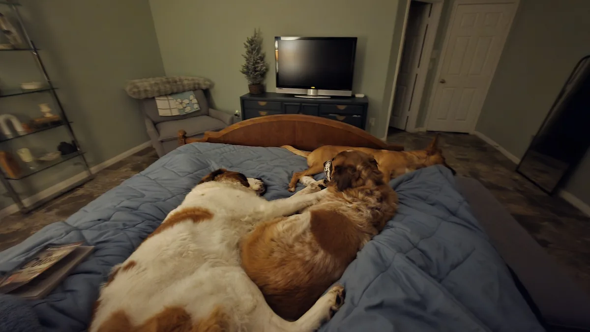 When you find yourself surrounded by four beautiful ladies in bed