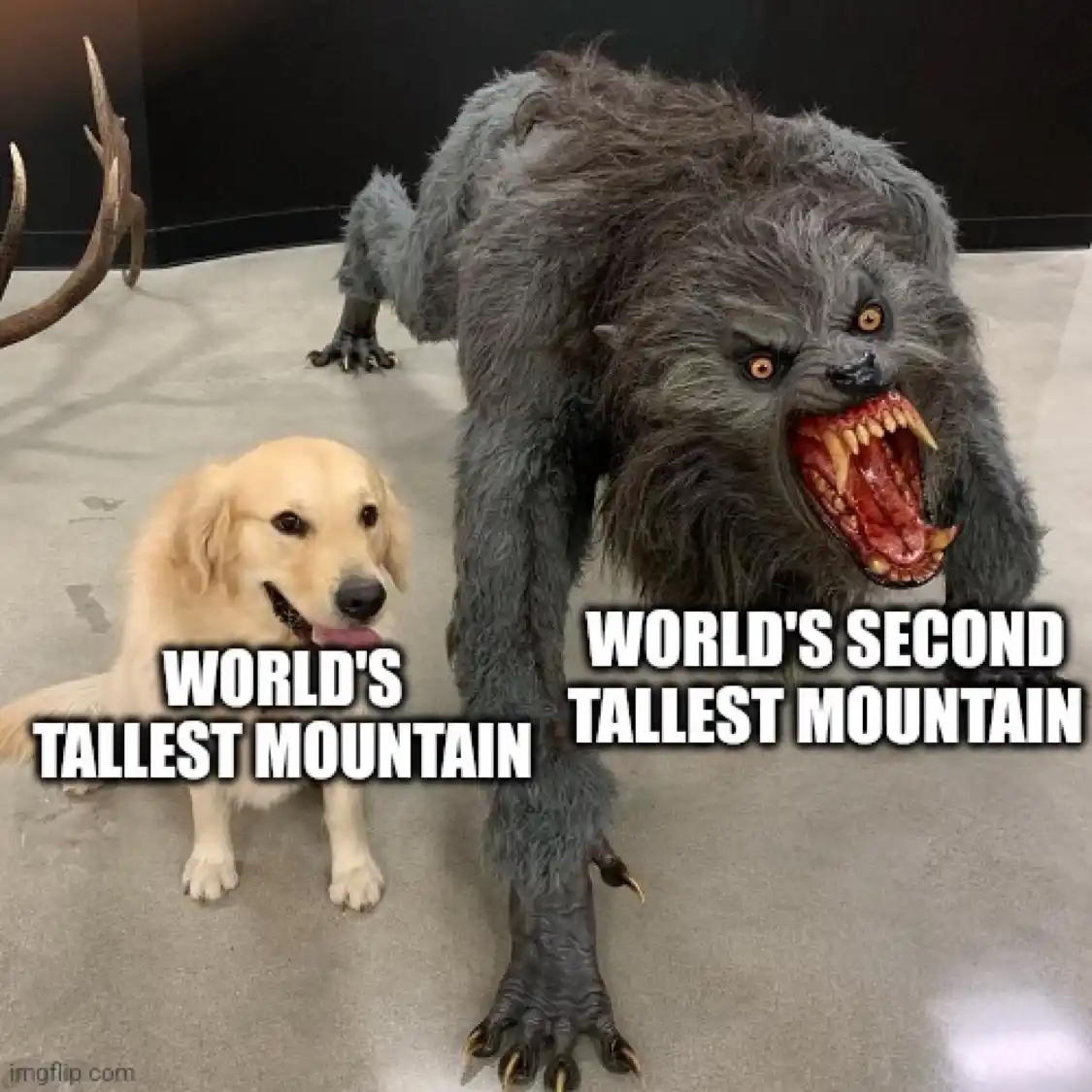 A small golden retriever sits calmly next to a large, menacing werewolf costume. The dog has text overlaid saying 'WORLD'S…
