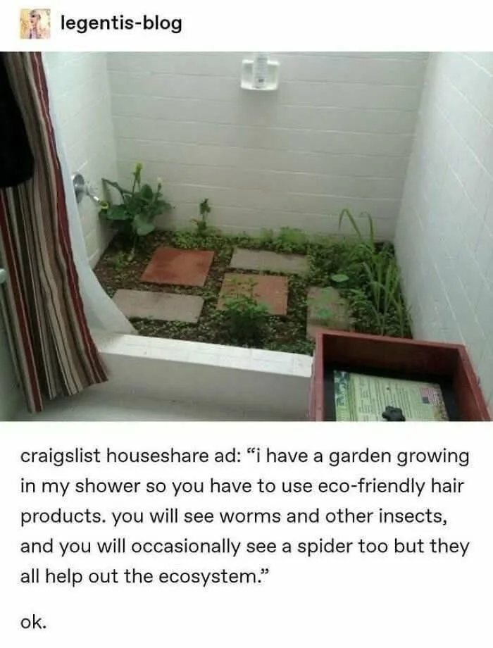 A photo shows a shower stall with white tiled walls and a shower curtain, but instead of a typical shower floor, there is a…