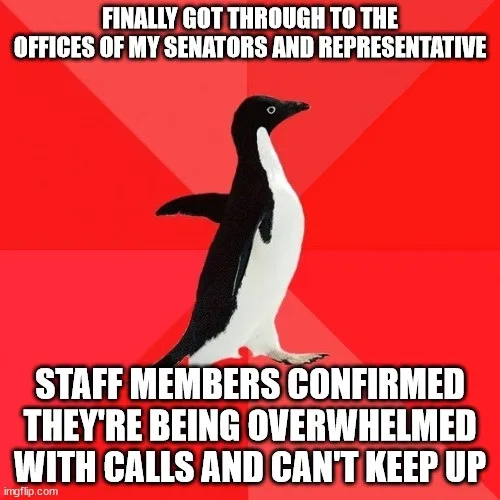 A black-and-white penguin stands against a red background with white text overlaid. The top text reads 'FINALLY GOT THROUGH…