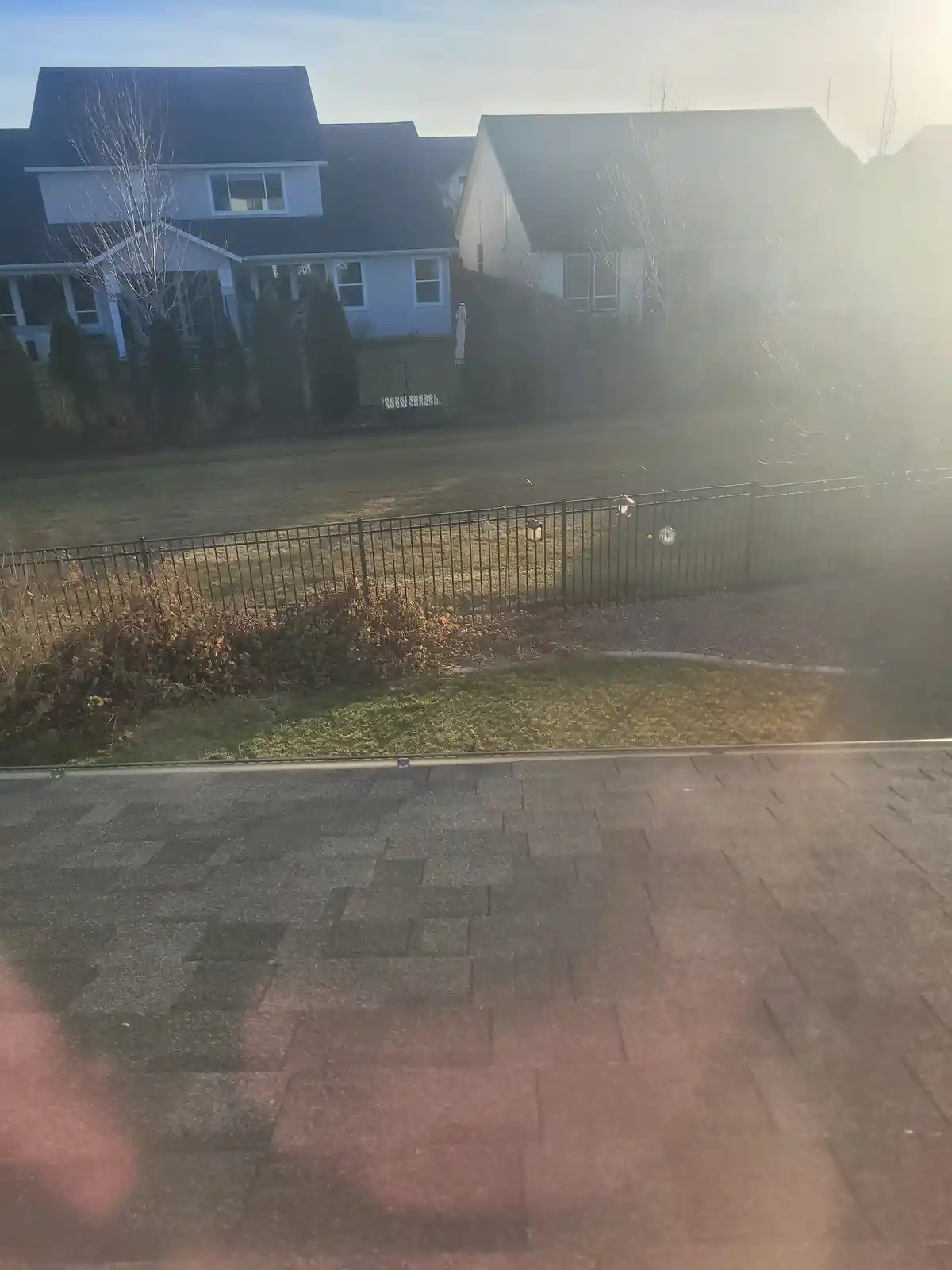 A photo taken from a window looking out onto a residential backyard with a fence, grass, and neighboring houses, with bright…
