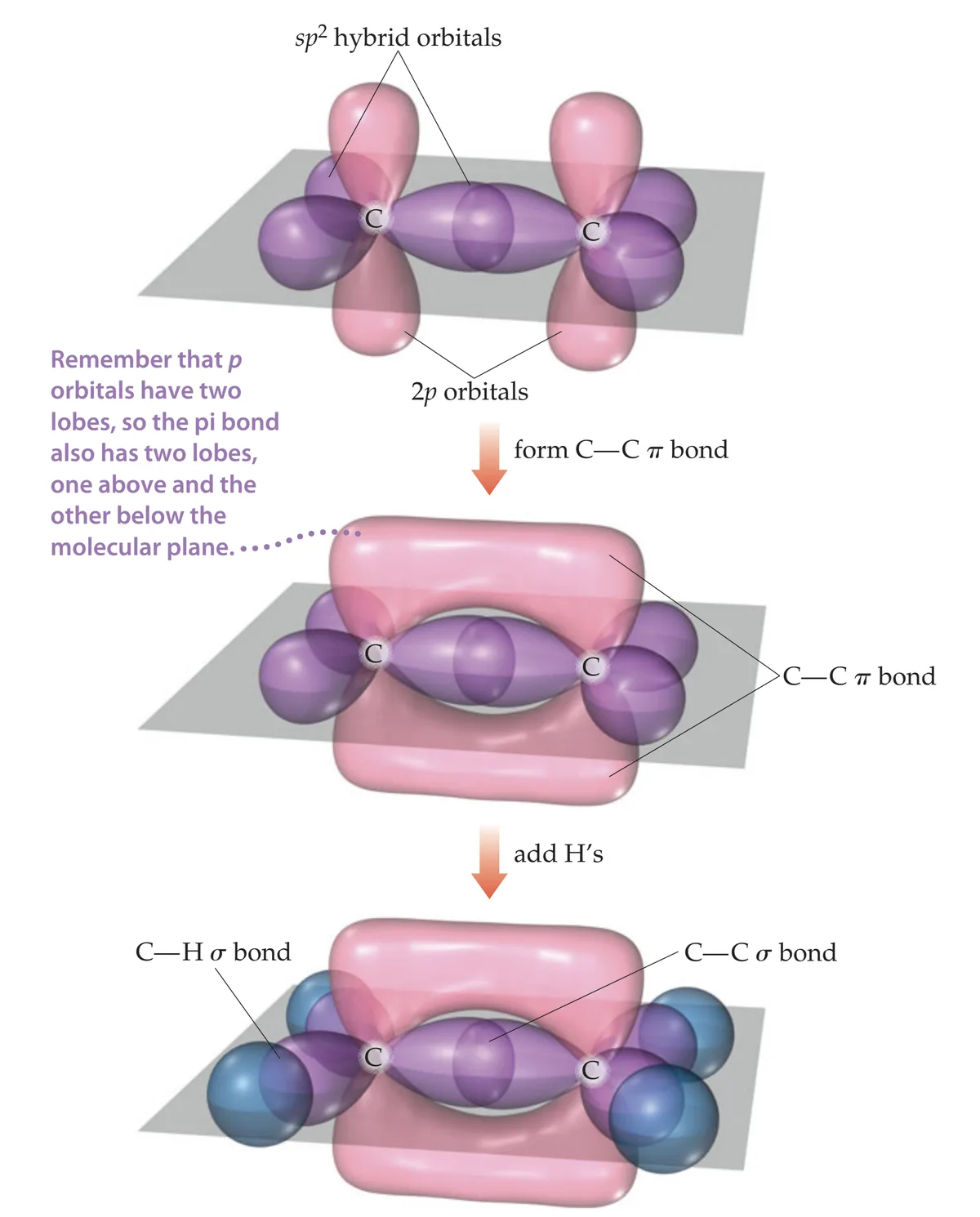 The image shows a three-step scientific diagram illustrating the formation of a carbon-carbon pi bond from p orbitals…