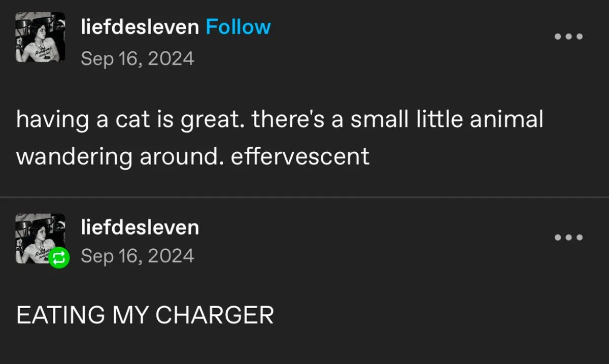 The image shows two social media posts from the same user, 'liefdesleven', dated September 16, 2024. The first post reads…