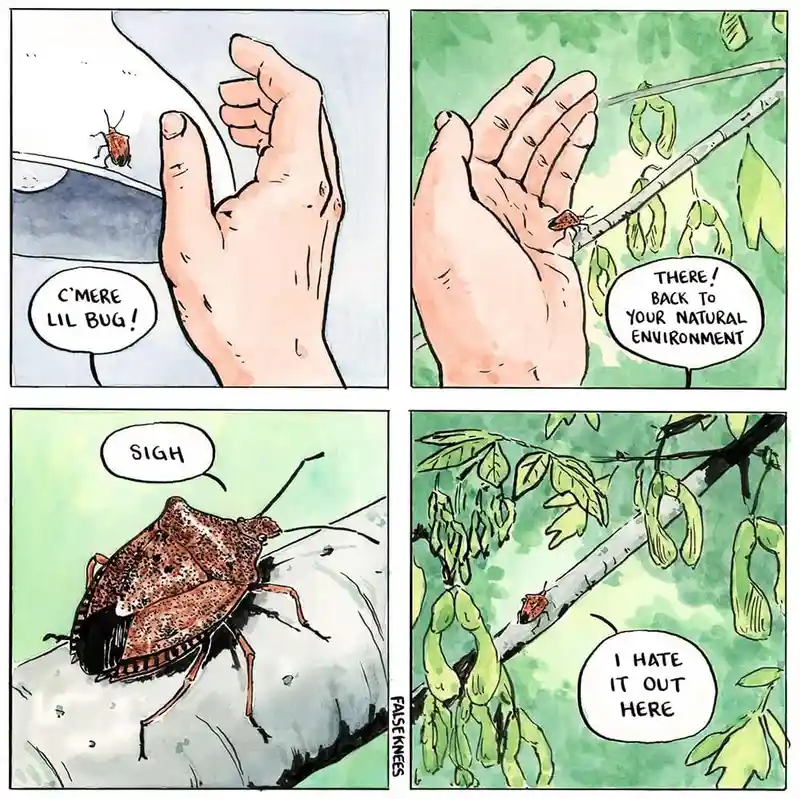 A Hilarious Collection of Animal Comics