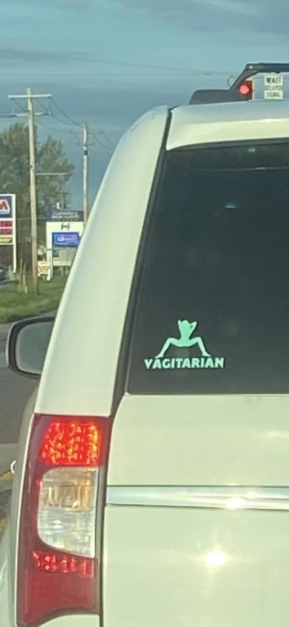 The image shows the rear of a light-colored SUV with a green decal on the back window. The decal features a stylized figure…