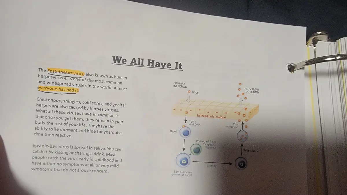 A printed educational page about the Epstein-Barr virus, titled 'We All Have It,' with text highlighting that 'almost…