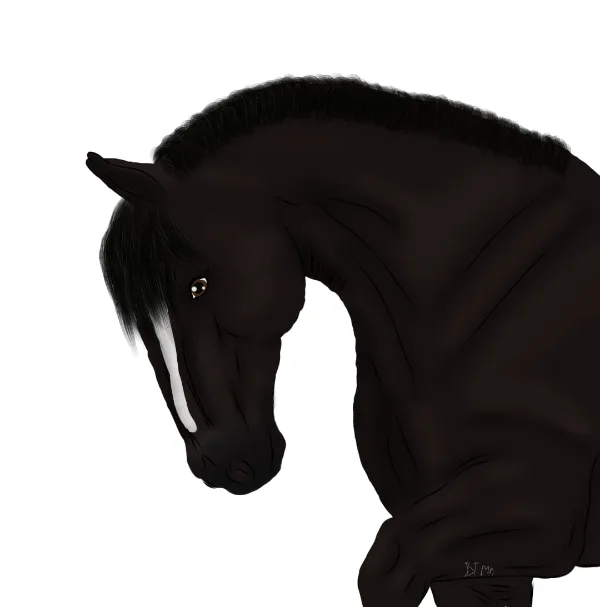 A digital illustration of a black horse's head and neck, shown in profile against a plain white background. The horse has a…